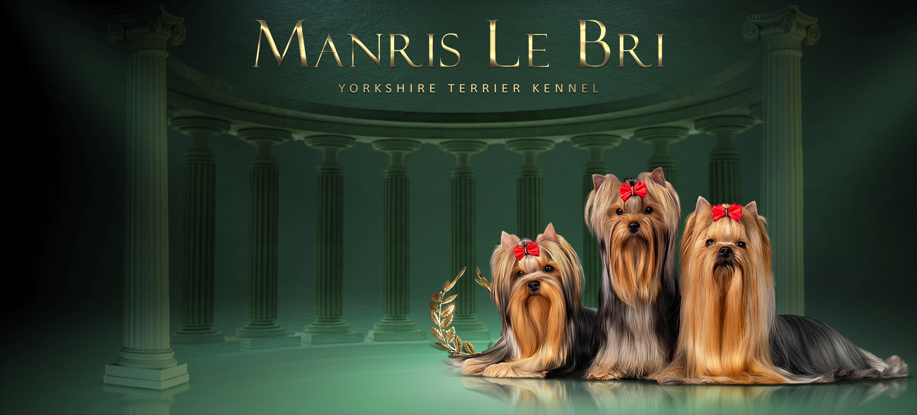 Manris &mdash; Labaza DogPedigree YorkshireTerrier